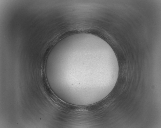X0000073400644200607280936