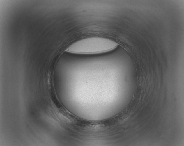 X0000073400646200607280936