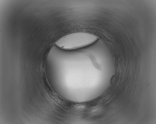 X0000073400651200607280936