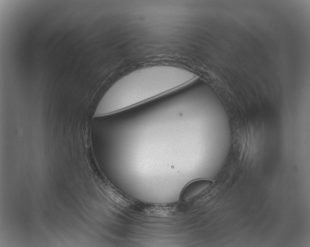 X0000073400661200607280936