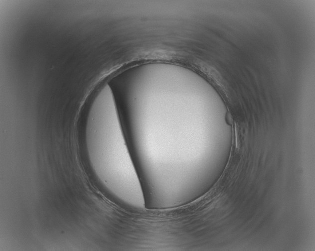 X0000073400675200607280935