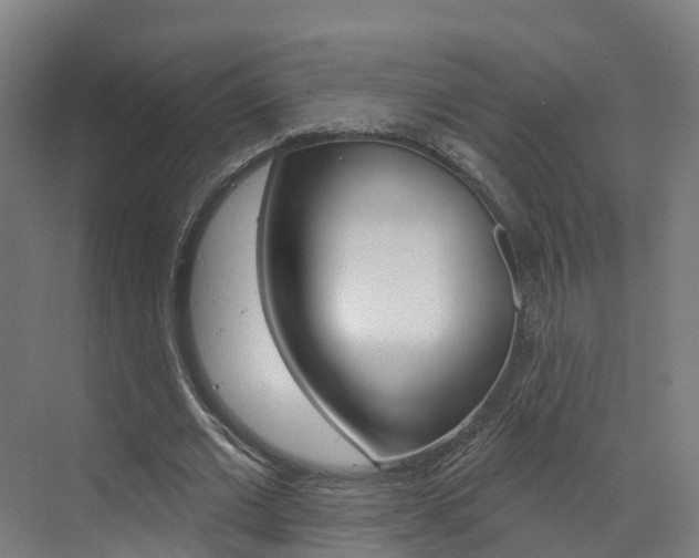 X0000073400677200607280935