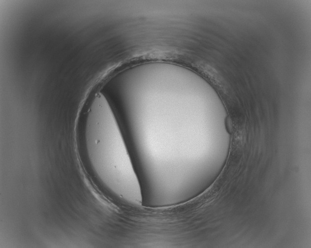 X0000073400678200607280935