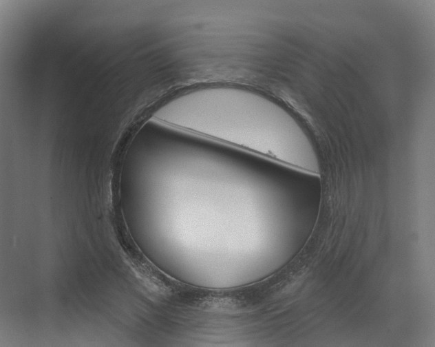 X0000073400685200607280935