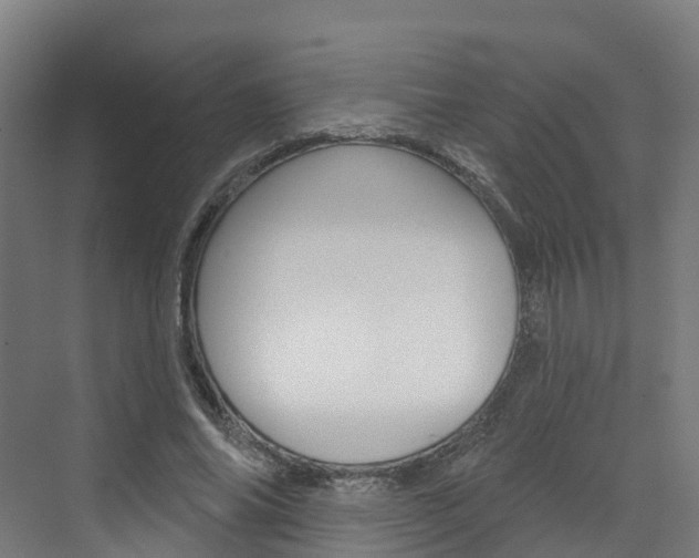 X0000073400686200607280935