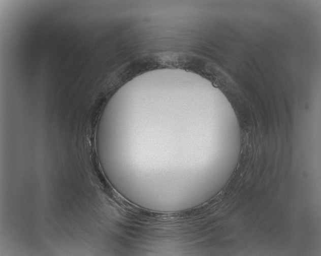X0000073400702200607280935