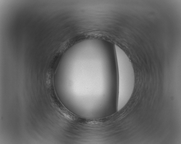 X0000073400708200607280935