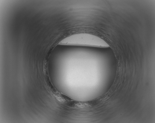 X0000073400712200607280935