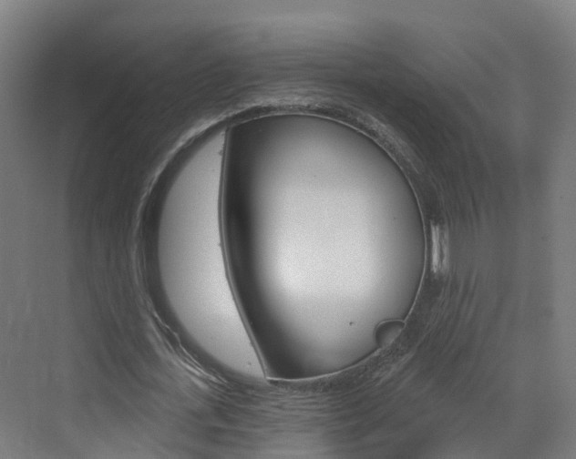 X0000073400723200607280934