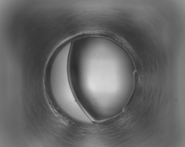 X0000073400724200607280934
