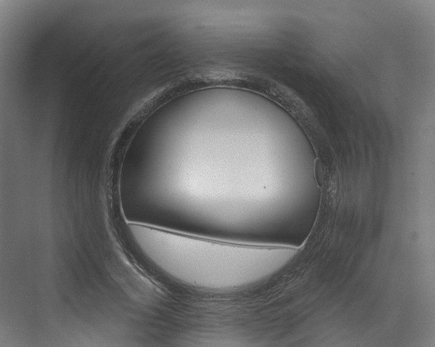 X0000073400732200607280934
