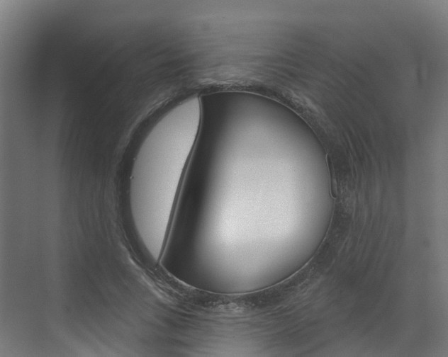 X0000073400735200607280934