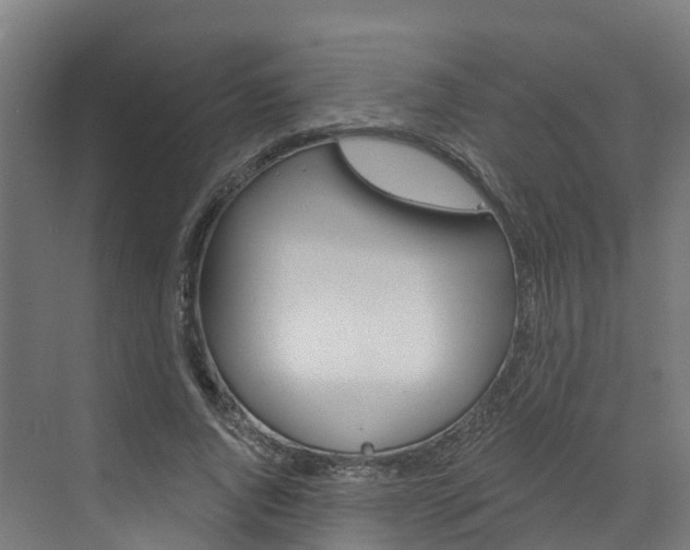 X0000073400736200607280934
