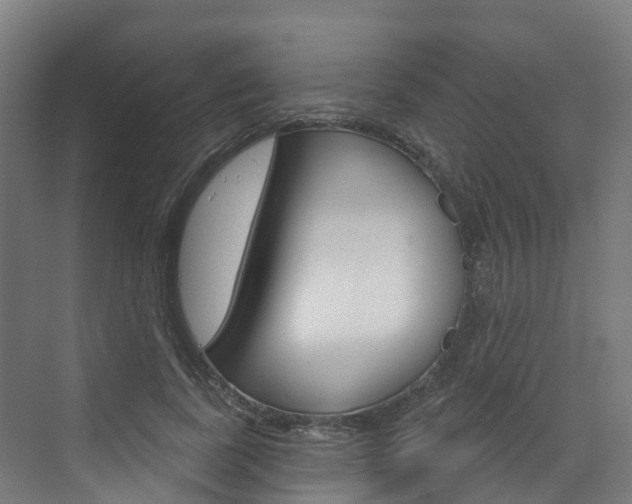 X0000073400739200607280934