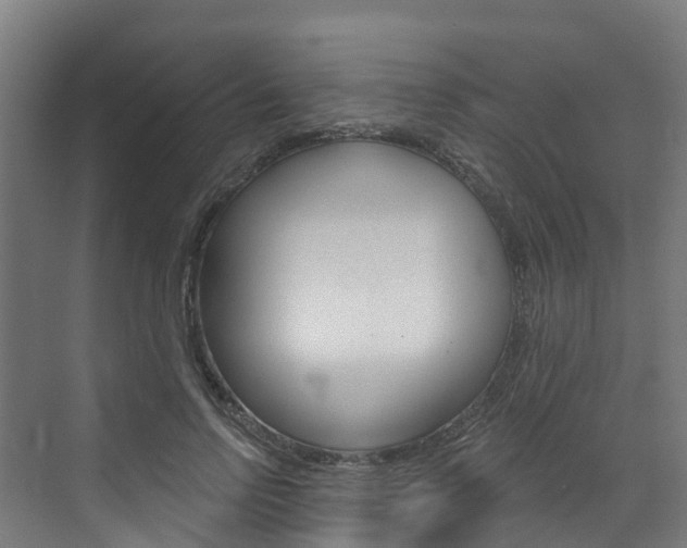 X0000073400742200607280934