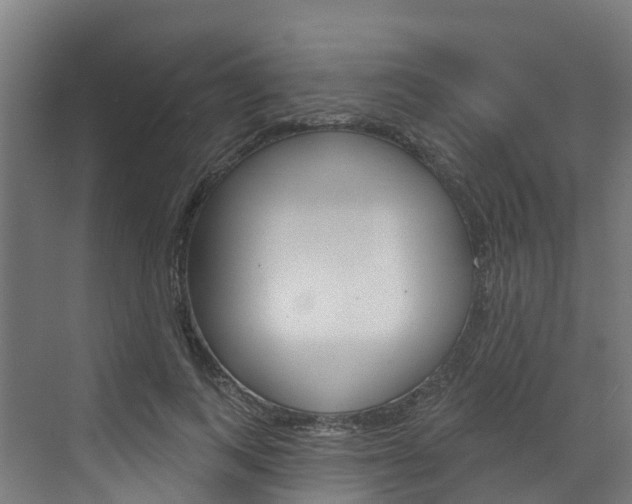 X0000073400743200607280934
