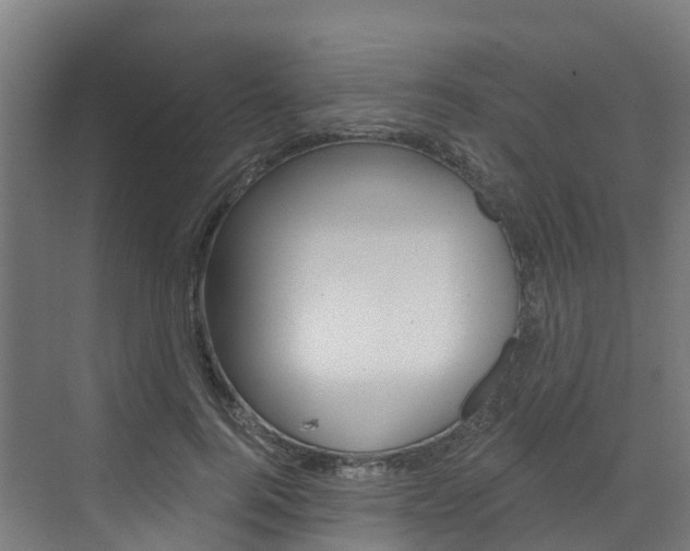 X0000073400744200607280934