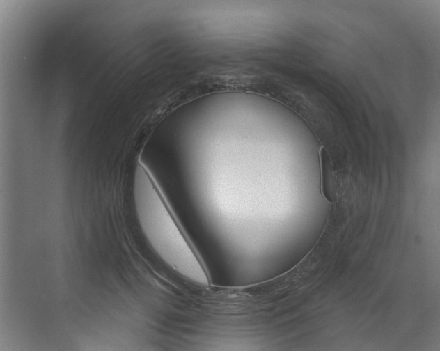 X0000073400752200607280934