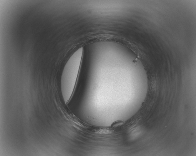 X0000073400759200607280934