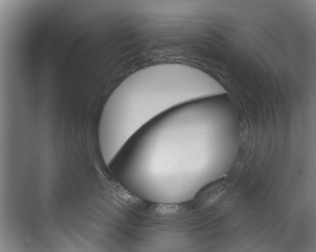 X0000073400767200607280935