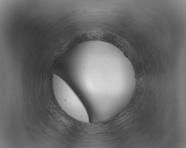 X0000073400772200607280934