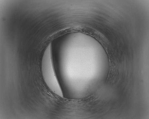 X0000073400773200607280934