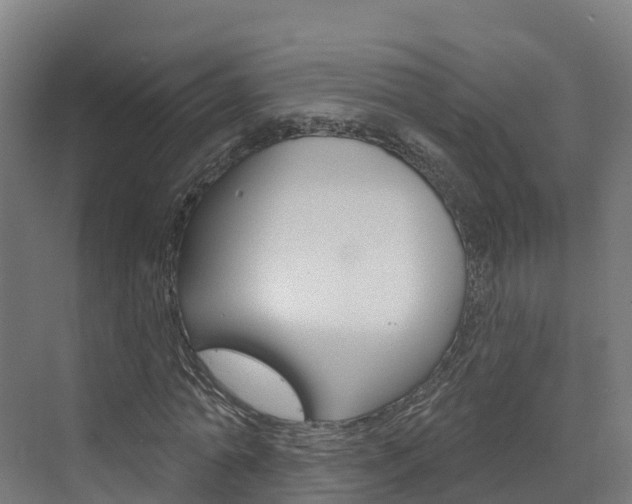 X0000073400774200607280934