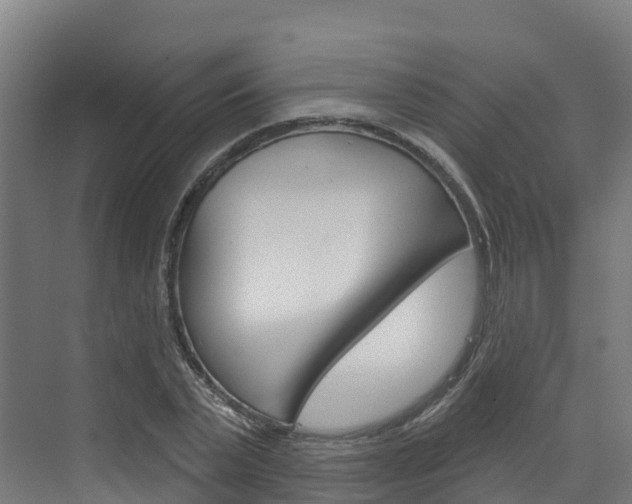 X0000073400783200607280934