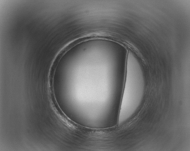 X0000073400784200607280934