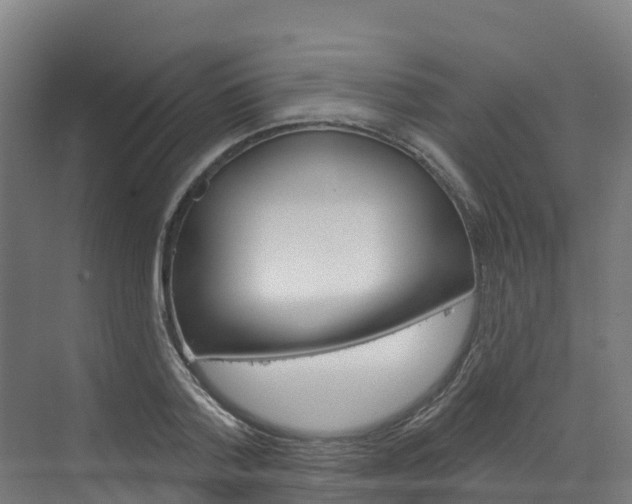 X0000073400788200607280933
