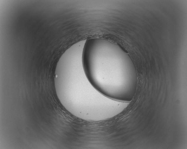 X0000073400818200607280932