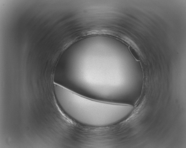 X0000073400849200607280933