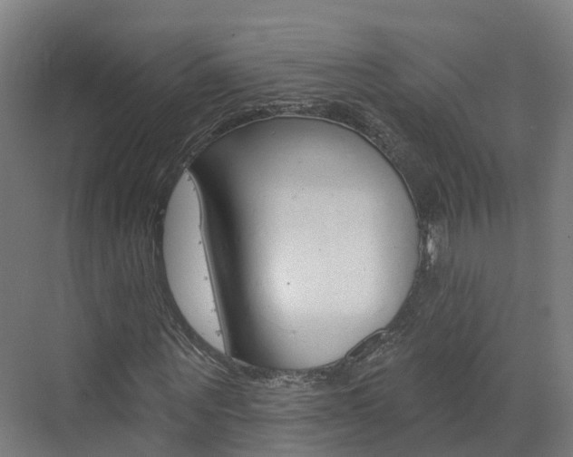 X0000073400867200607280932