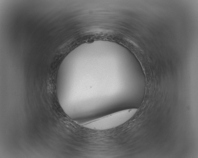 X0000073400869200607280932