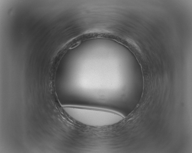 X0000073400872200607280932