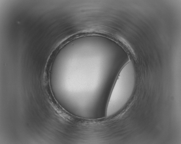 X0000073400876200607280932
