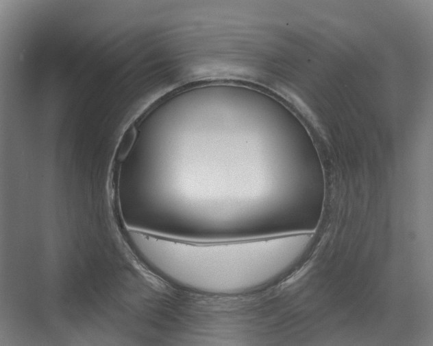 X0000073400885200607280932