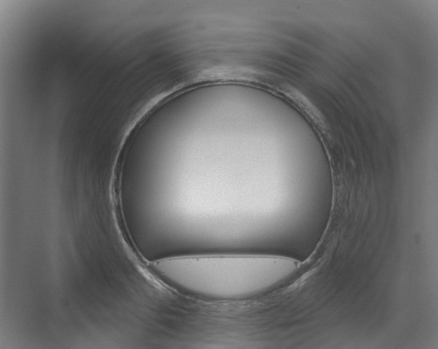 X0000073400893200607280932