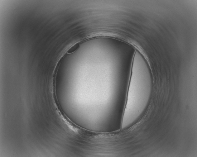 X0000073400898200607280932