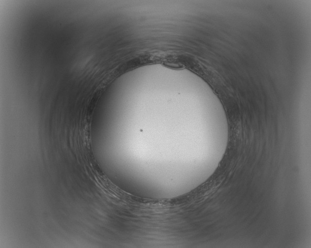 X0000073400914200607280931