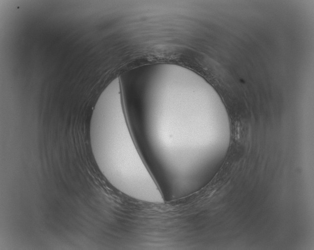 X0000073400915200607280931