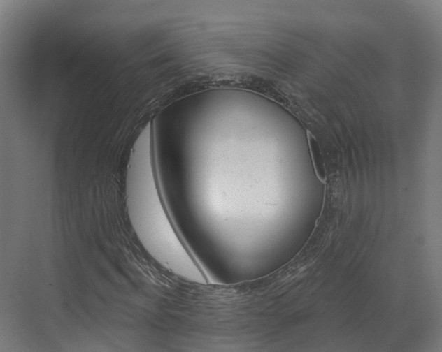 X0000073400916200607280931
