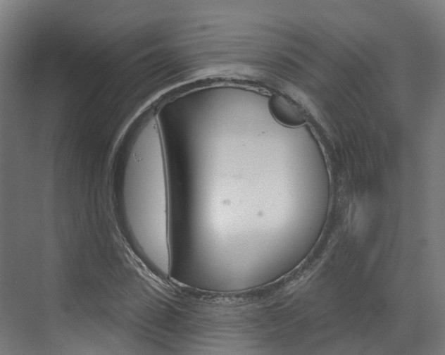 X0000073400923200607280931