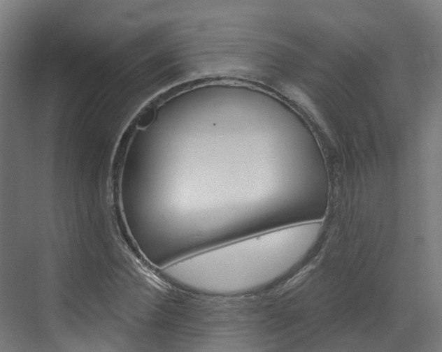 X0000073400924200607280931