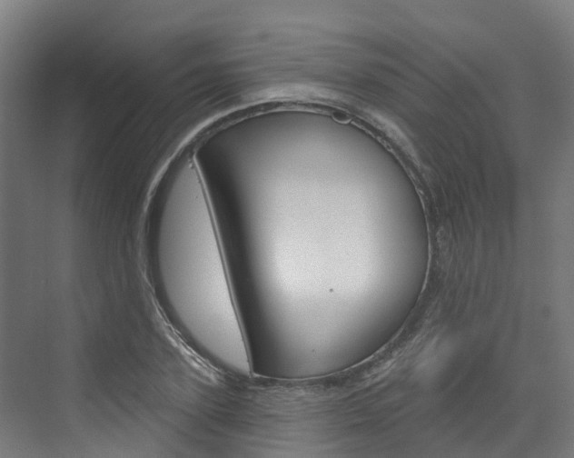 X0000073400931200607280931