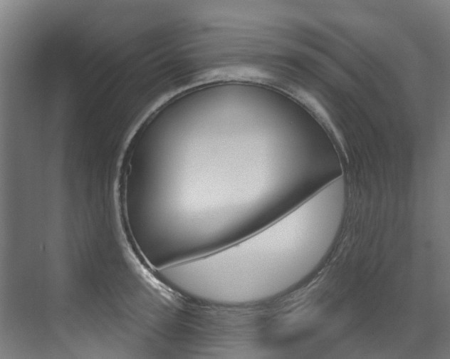 X0000073400947200607280931