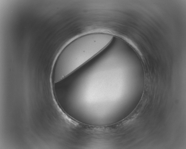 X0000073400959200607280931