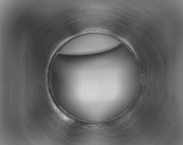 X0000073400995200607280930