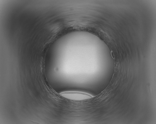 X0000073401012200607280929