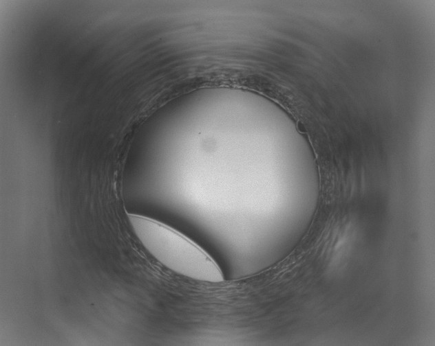 X0000073401013200607280929